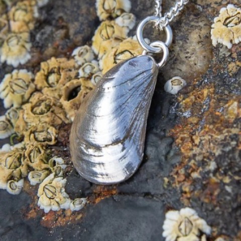 Handcrafted Scottish jewellery - Silver Mussel Shell pendant Handcrafted Scottish jewellery - Silver Mussel Shell pendant